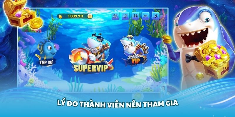 Lý do thành viên nên tham gia trải nghiệm tại WW88