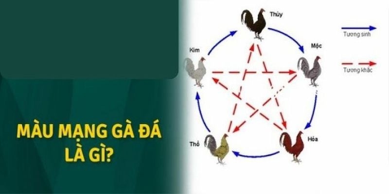 Tìm hiểu khái niệm về màu mạng đá gà