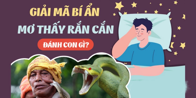 Con số may mắn gắn liền cùng giấc chiêm bao thấy mãng xà